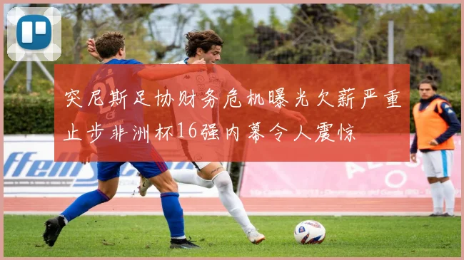 突尼斯足协财务危机曝光欠薪严重止步非洲杯16强内幕令人震惊